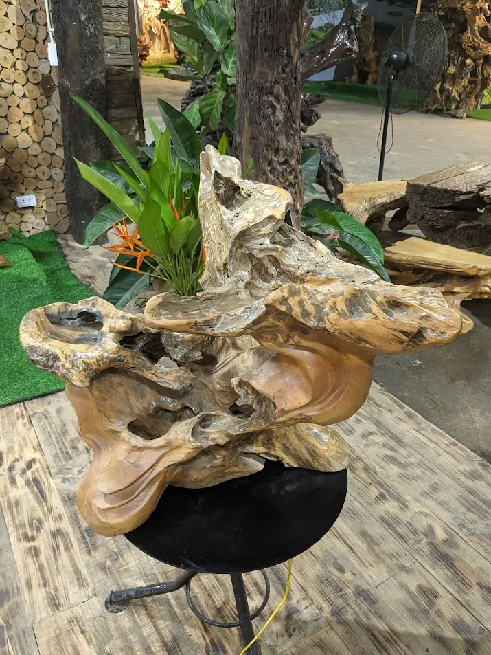 Chậu cảnh Gỗ Lũa trai vàng 2 máng