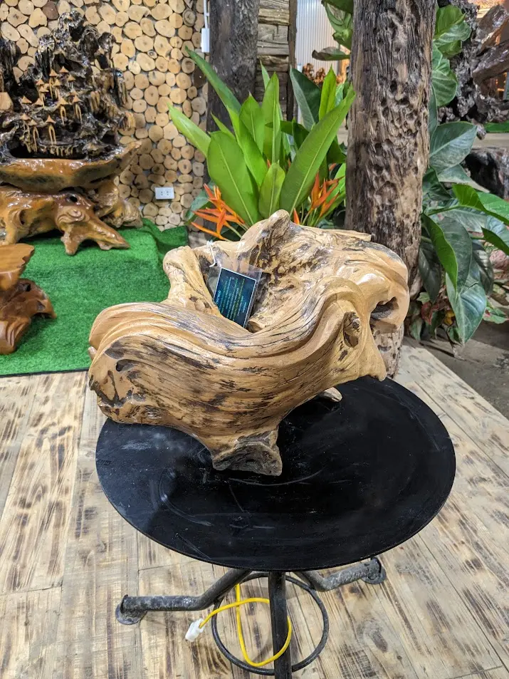 Chậu cảnh Gỗ Lũa trai vàng 1 máng