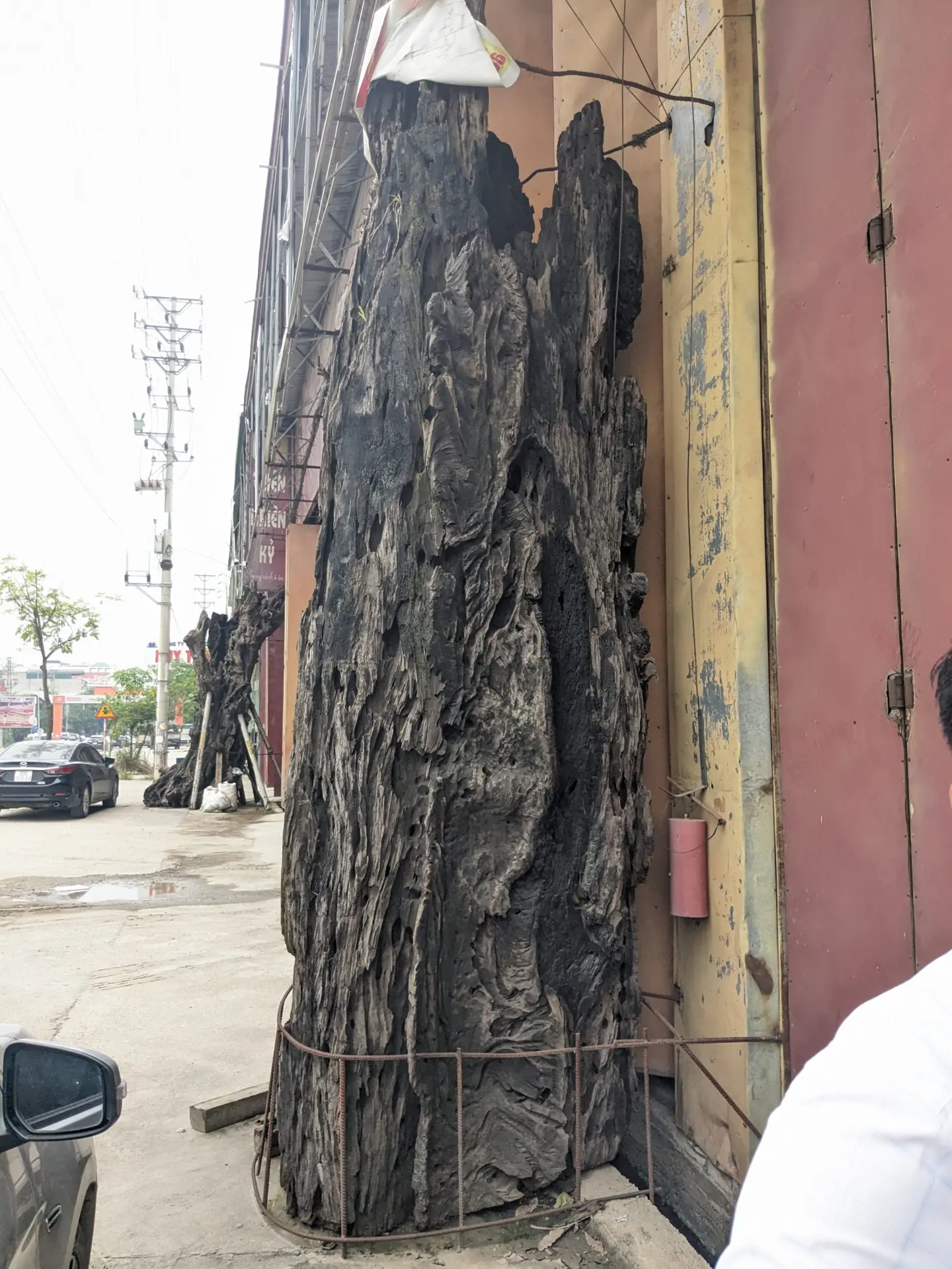 Gỗ Hương Lũa 05