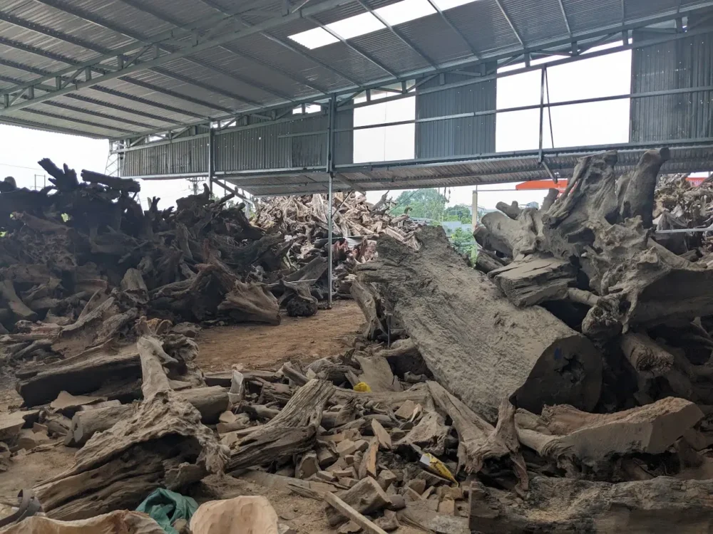 Tổng kho Gỗ Lũa lớn nhất Việt Nam