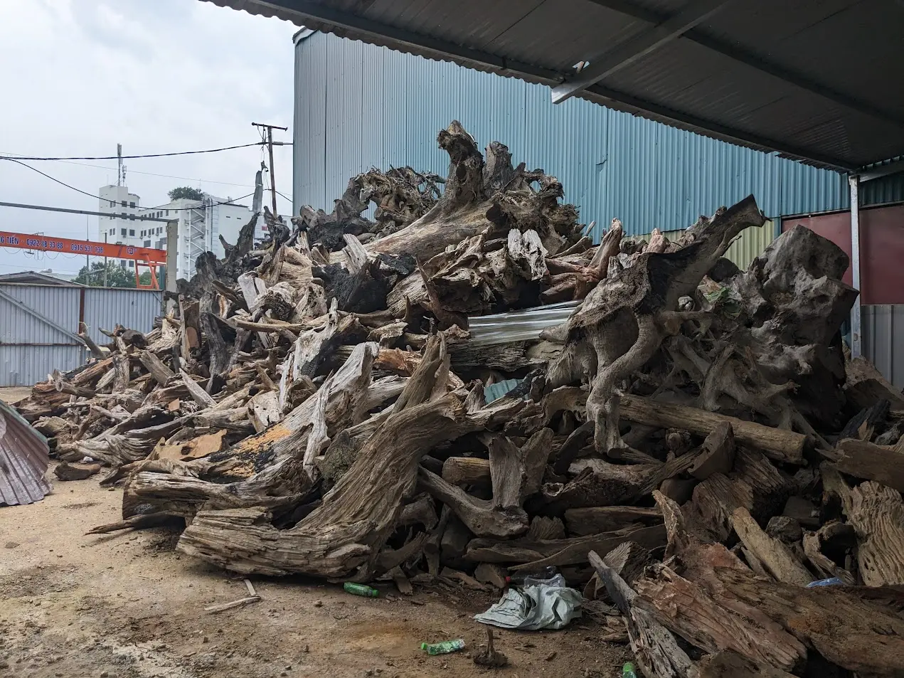 Tổng kho Gỗ Lũa lớn nhất Việt Nam