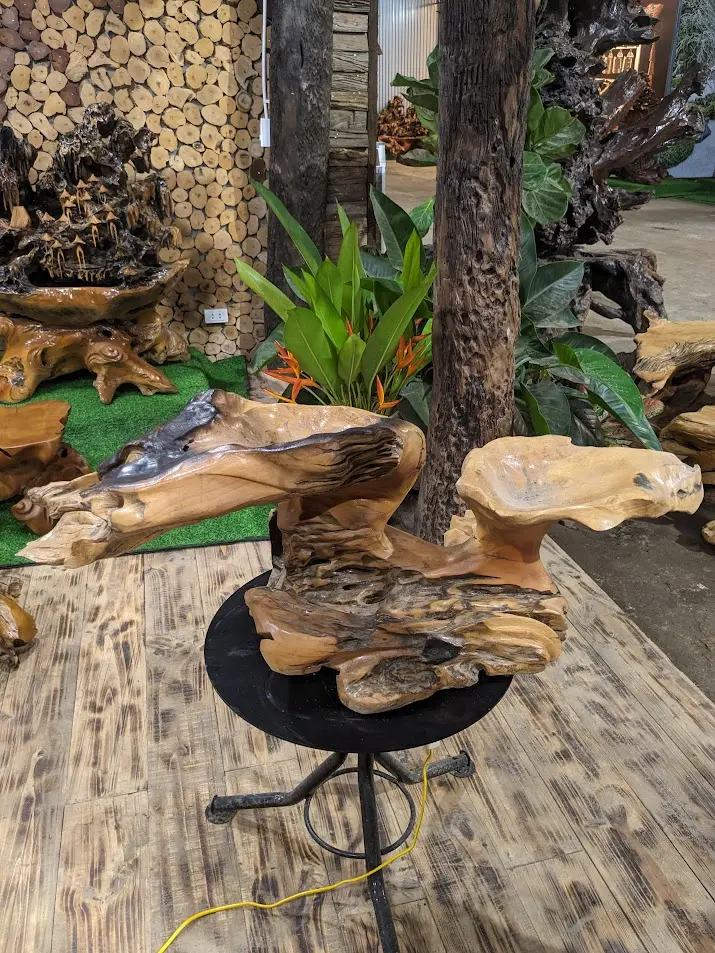 Chậu cảnh Gỗ Lũa trai vàng 2 máng
