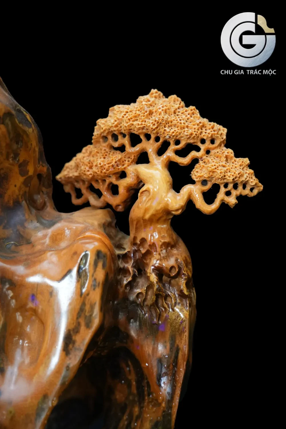 Thư Đồng Minh Tuệ - Hình ảnh 7