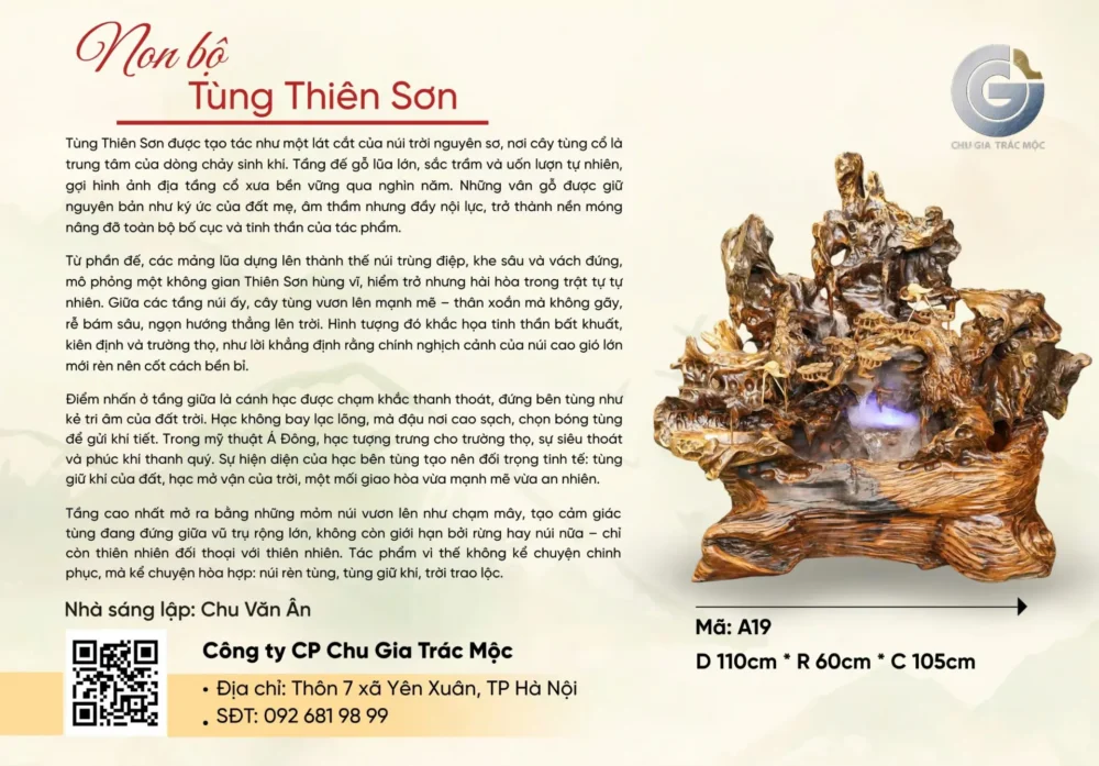 Tùng Thiên Sơn - Hình ảnh 6