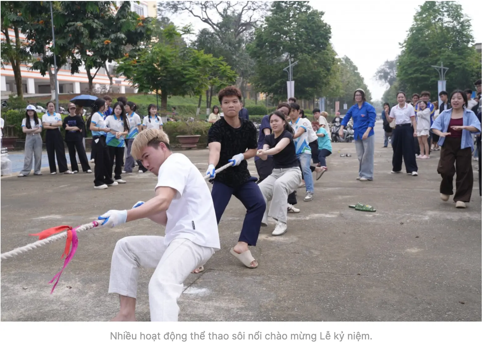 Tuổi trẻ Đại học Lâm nghiệp viết tiếp “hành trình xanh”