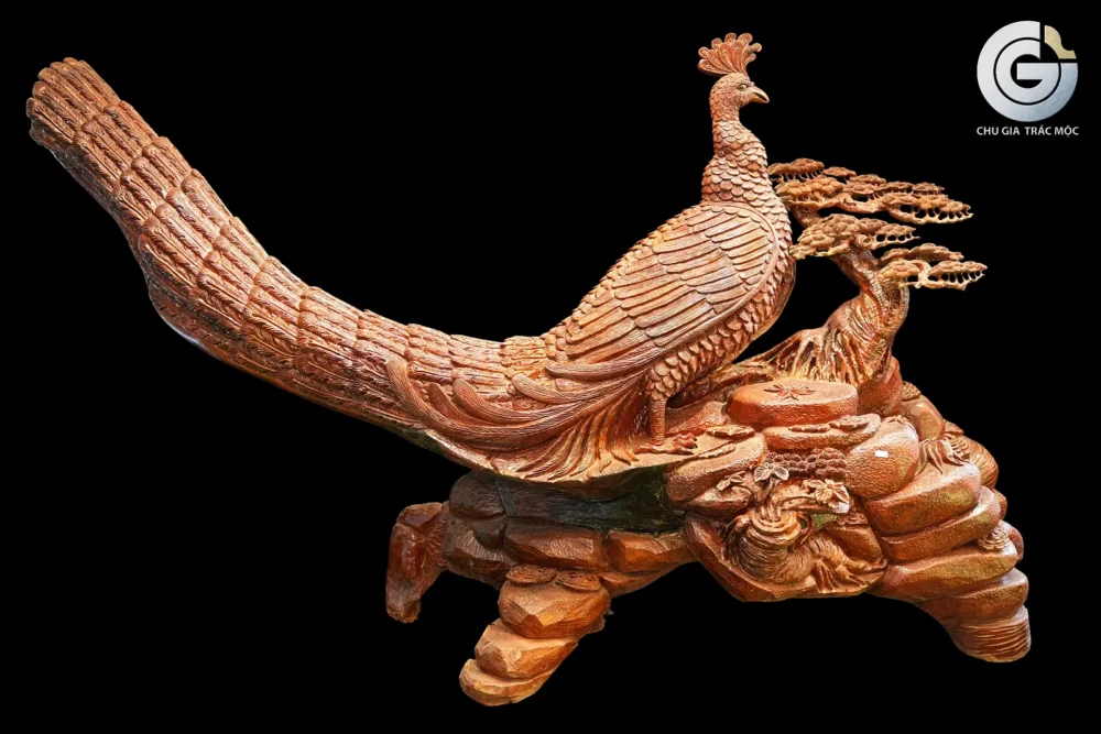 Tụ Linh Hoàng Vũ